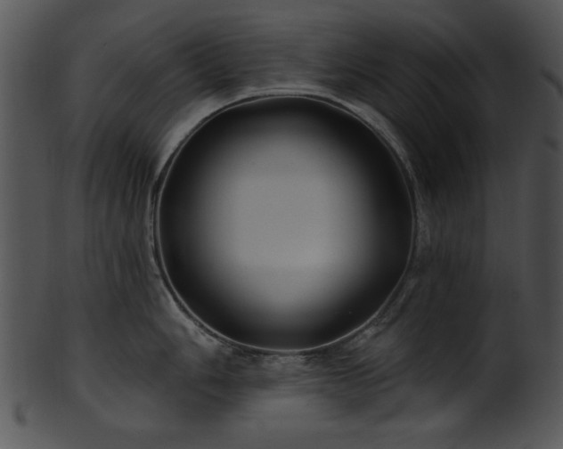 X0000101451006200807141239