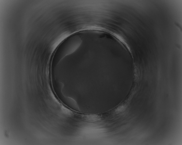 X0000101451007200807141239