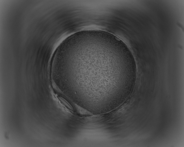 X0000101451008200807141239