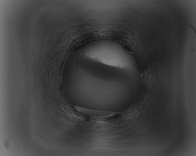 X0000101451009200807141239