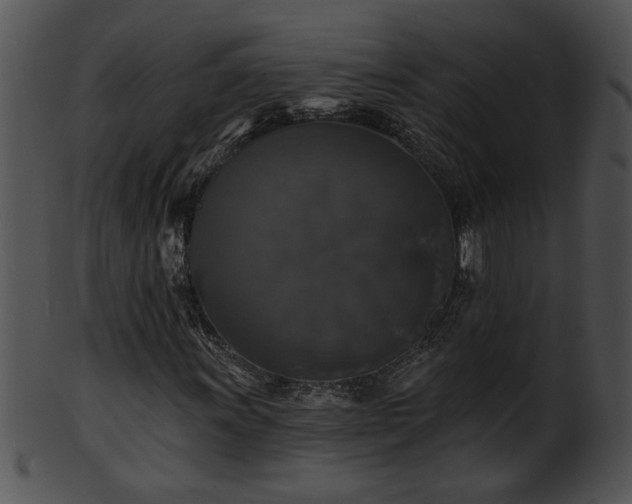 X0000101451011200807141239