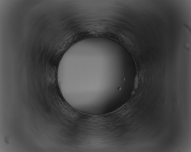 X0000101451012200807141239