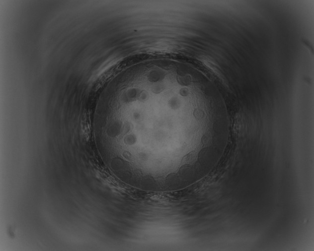 X0000101451015200807141239