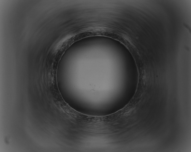 X0000101451016200807141239