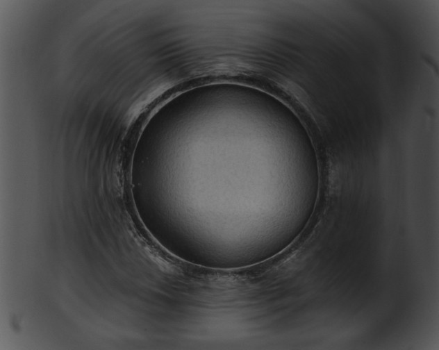 X0000101451018200807141239