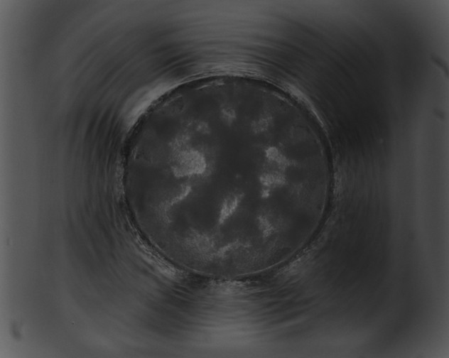 X0000101451019200807141239