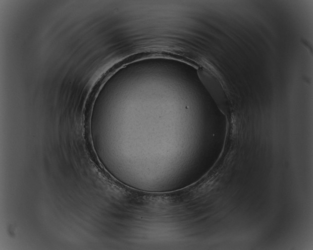 X0000101451020200807141239