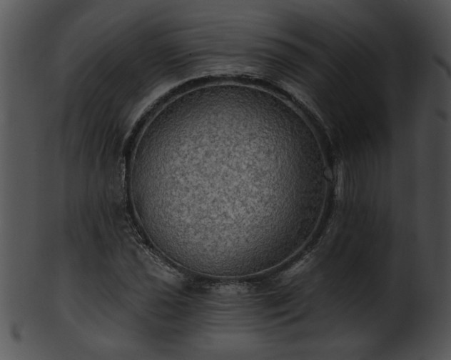 X0000101451021200807141239