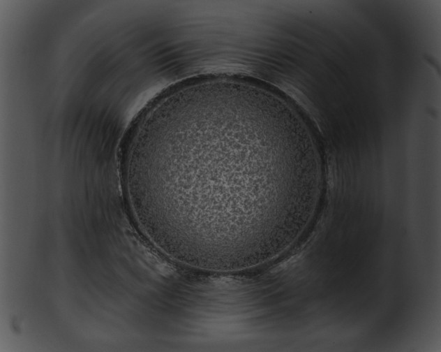 X0000101451022200807141239