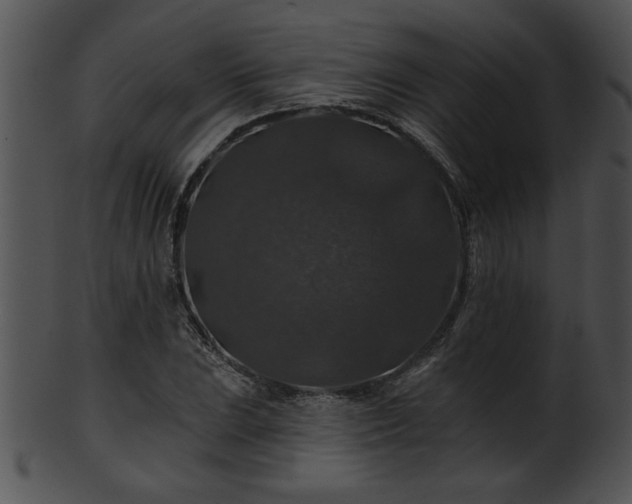 X0000101451023200807141239