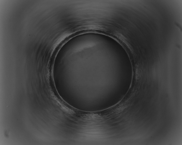 X0000101451024200807141239