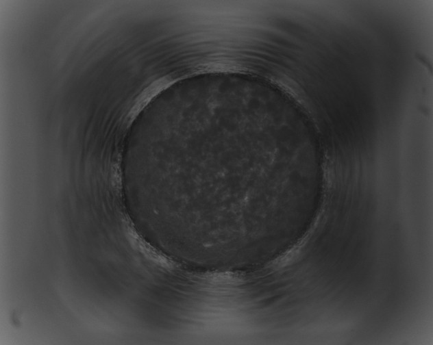 X0000101451025200807141239