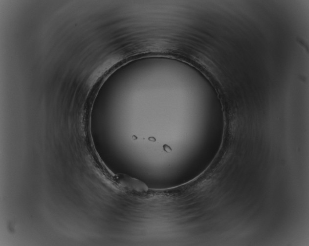 X0000101451026200807141239