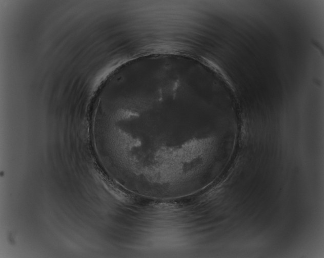 X0000101451027200807141239