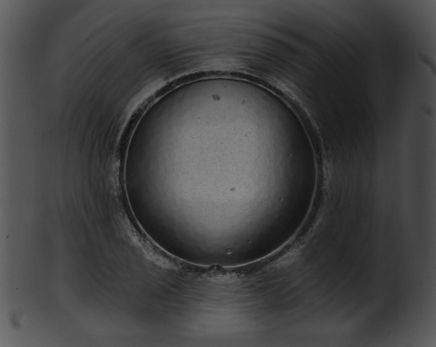 X0000101451029200807141239