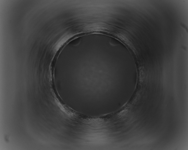 X0000101451031200807141239