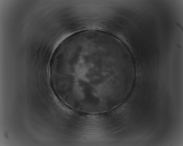 X0000101451032200807141239