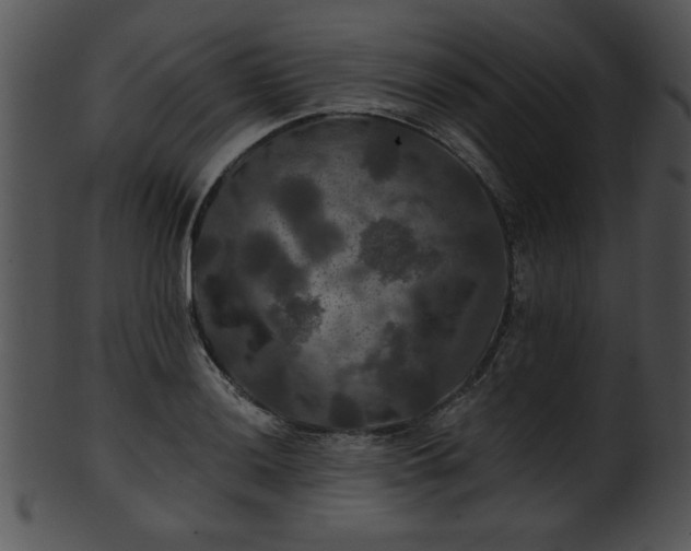 X0000101451036200807141239