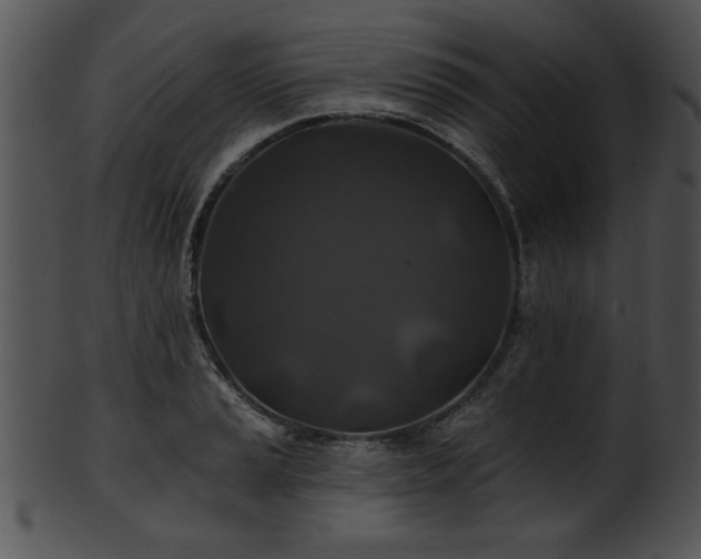 X0000101451037200807141239