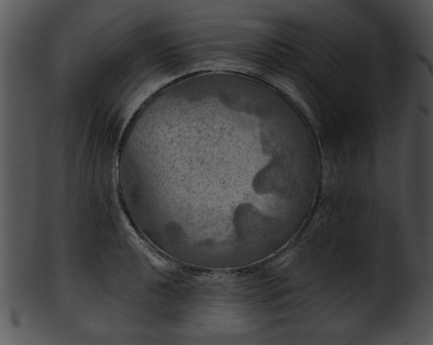 X0000101451040200807141239