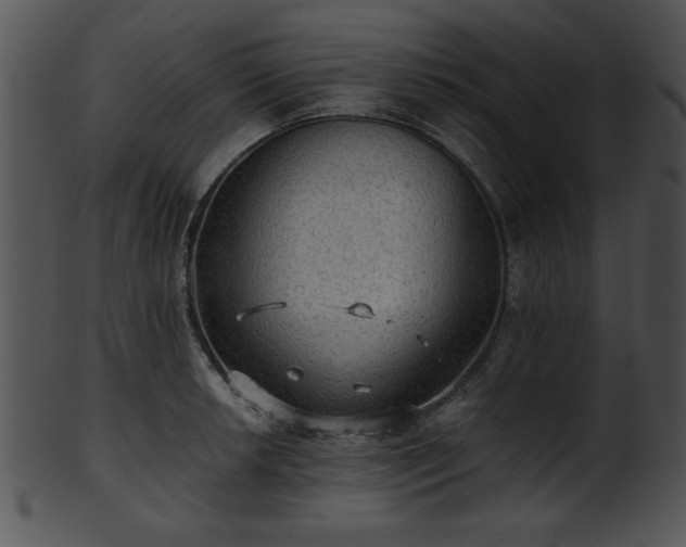 X0000101451042200807141239