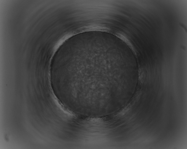 X0000101451043200807141239