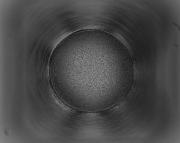 X0000101451044200807141239