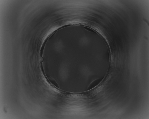 X0000101451045200807141239