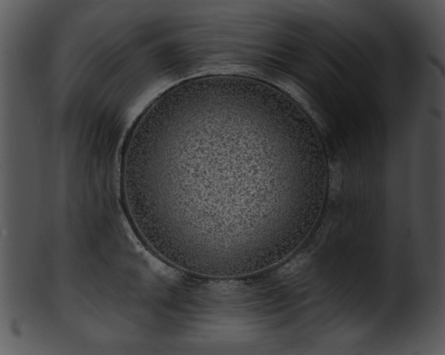 X0000101451046200807141239