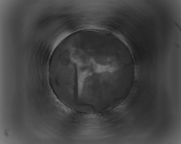 X0000101451048200807141239