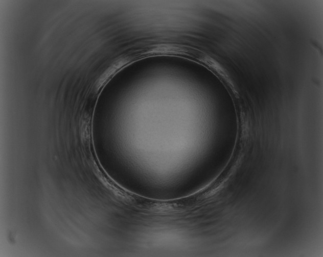 X0000101451049200807141239