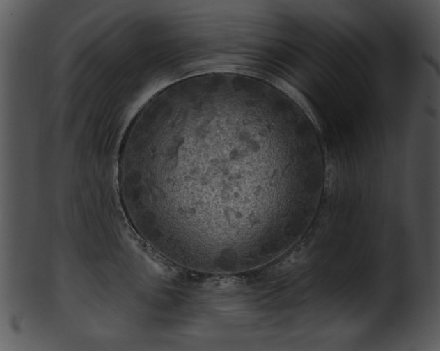 X0000101451051200807141239