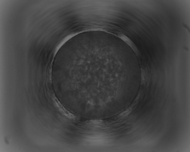 X0000101451052200807141239