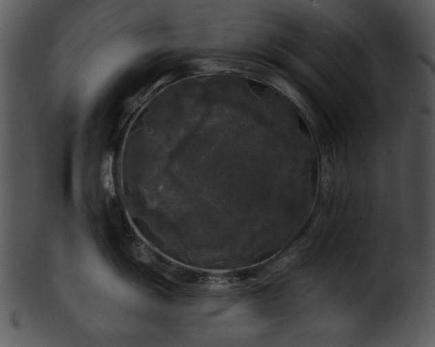 X0000101451055200807141239