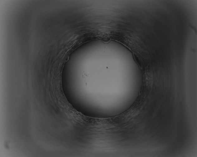 X0000101451057200807141239