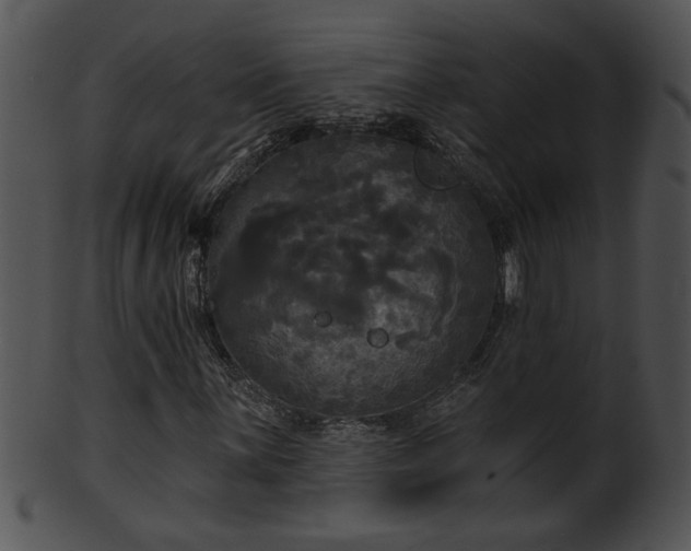 X0000101451059200807141239