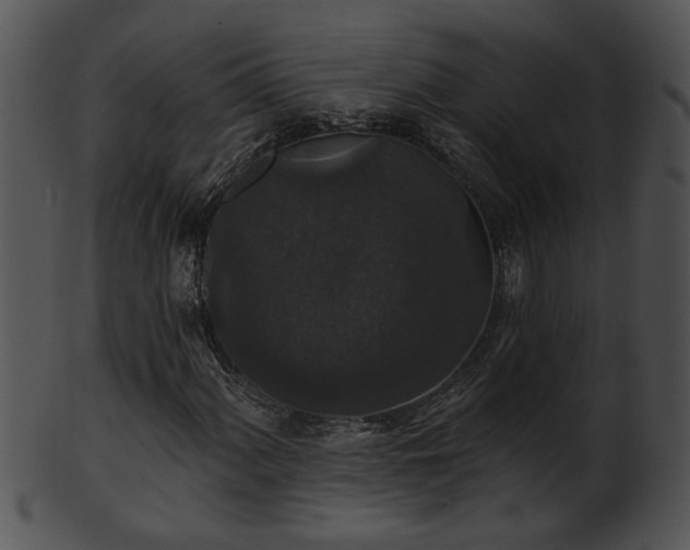 X0000101451060200807141239