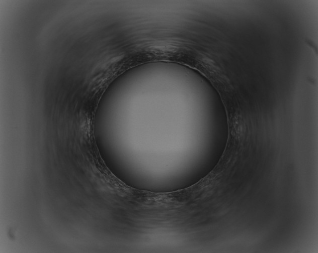 X0000101451061200807141239