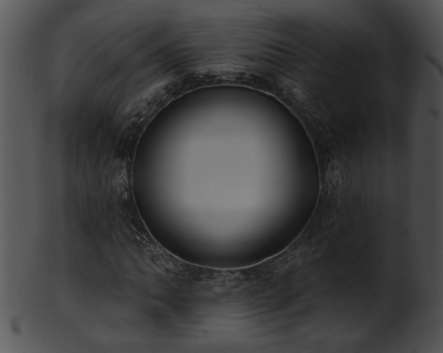 X0000101451062200807141239