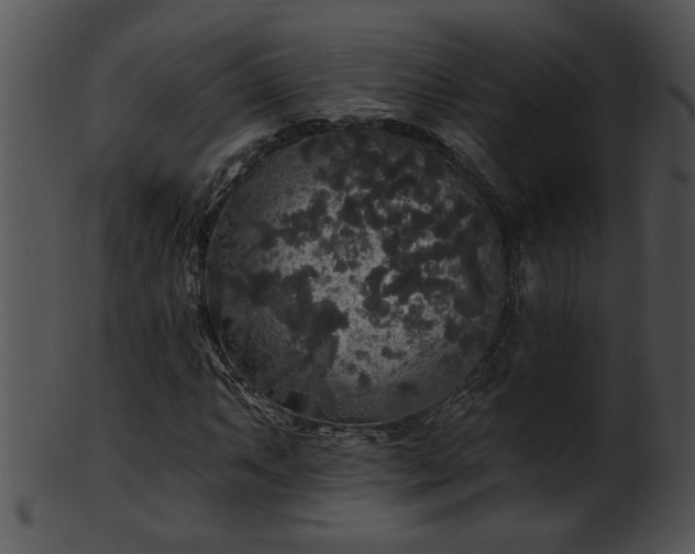 X0000101451063200807141239