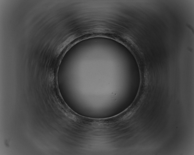 X0000101451065200807141239