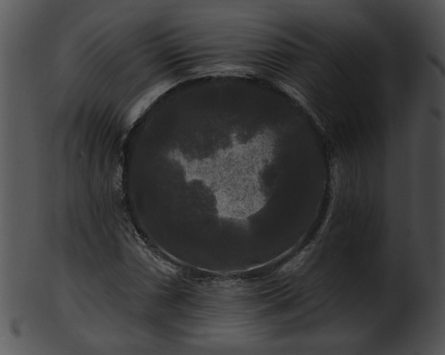 X0000101451066200807141239