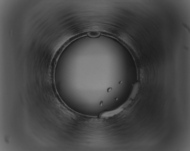 X0000101451068200807141239