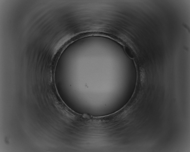 X0000101451069200807141238