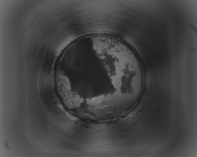 X0000101451071200807141238