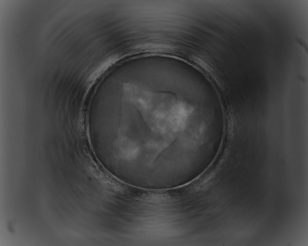 X0000101451074200807141238