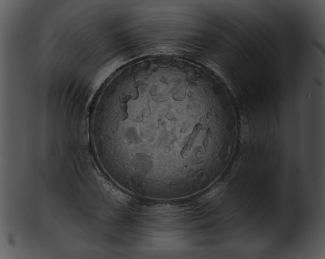 X0000101451075200807141238