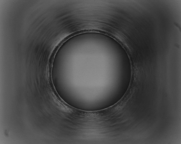 X0000101451076200807141238