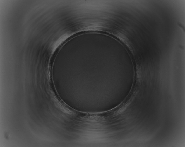 X0000101451077200807141238