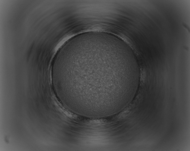 X0000101451078200807141238